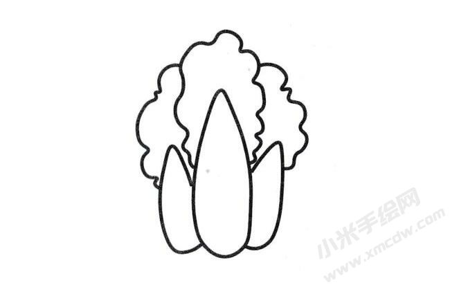 白菜簡(jiǎn)筆畫分步繪制圖示03.jpg