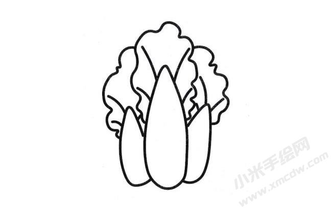 白菜簡(jiǎn)筆畫分步繪制圖示04.jpg