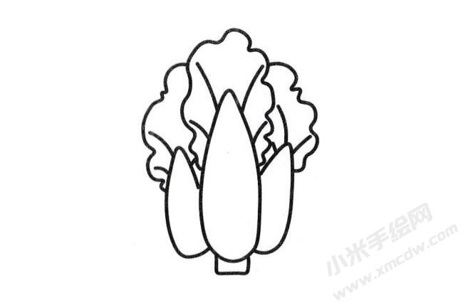 白菜簡(jiǎn)筆畫分步繪制圖示05.jpg