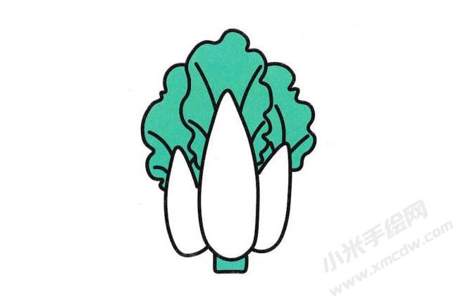 白菜簡(jiǎn)筆畫分步繪制圖示06.jpg