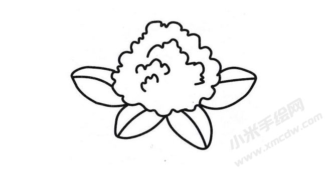 菜花簡(jiǎn)筆畫(huà)分步繪制圖示04.jpg