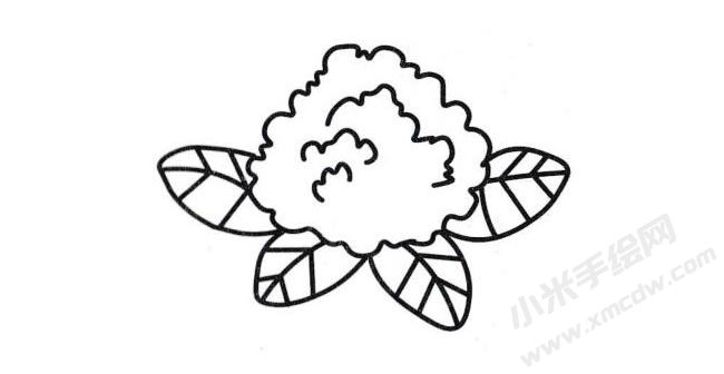 菜花簡(jiǎn)筆畫(huà)分步繪制圖示05.jpg