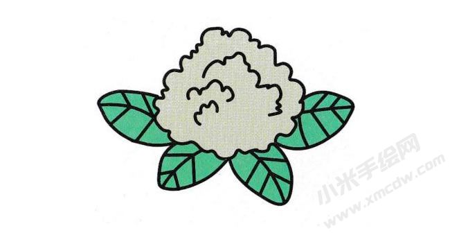 菜花簡(jiǎn)筆畫(huà)分步繪制圖示06.jpg