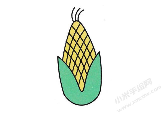 玉米簡筆畫分步繪制圖示06.jpg