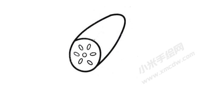 蓮藕簡(jiǎn)筆畫分步繪制圖示03.jpg
