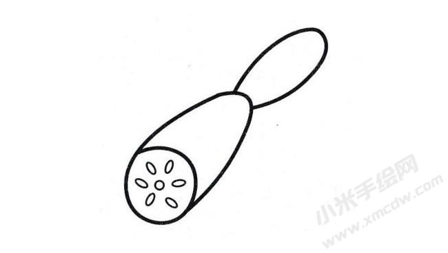 蓮藕簡(jiǎn)筆畫分步繪制圖示04.jpg