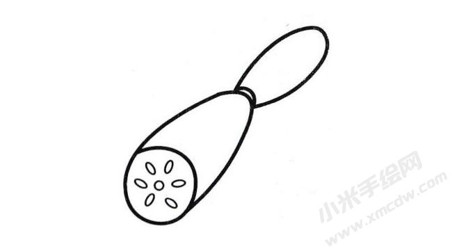 蓮藕簡(jiǎn)筆畫分步繪制圖示05.jpg