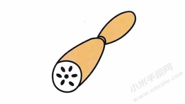 蓮藕簡(jiǎn)筆畫分步繪制圖示06.jpg