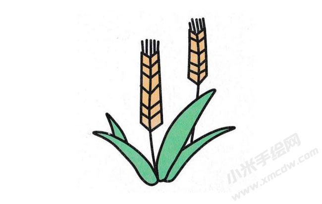 麥子簡(jiǎn)筆畫(huà)分步繪制圖示06.jpg