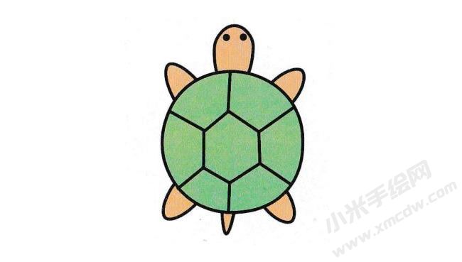 烏龜簡(jiǎn)筆畫分步繪制圖示06.jpg