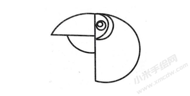 簡筆畫鸚鵡畫法步驟圖示04.jpg