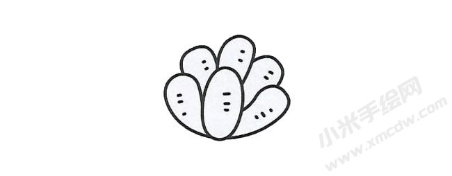 多肉簡(jiǎn)筆畫手繪步驟圖示03.jpg