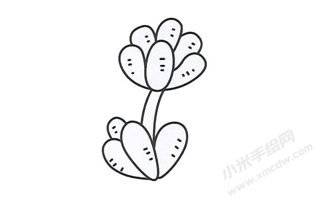 多肉簡(jiǎn)筆畫手繪步驟圖示04.jpg
