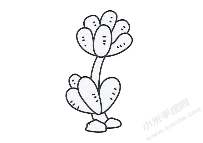 多肉簡(jiǎn)筆畫手繪步驟圖示05.jpg