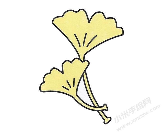 銀杏葉簡筆畫繪制步驟圖示04.jpg