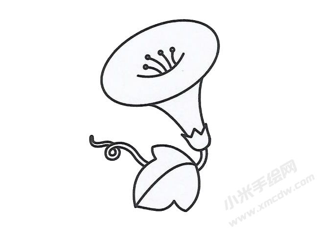簡筆畫喇叭花畫法步驟圖示02.jpg