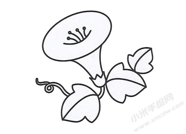 簡筆畫喇叭花畫法步驟圖示03.jpg
