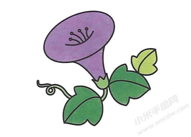 簡筆畫喇叭花畫法步驟圖示04.jpg