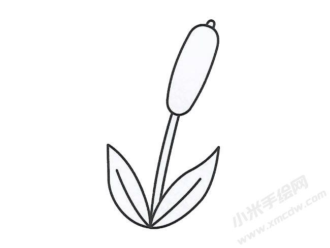 簡筆畫蘆葦畫法步驟圖示02.jpg