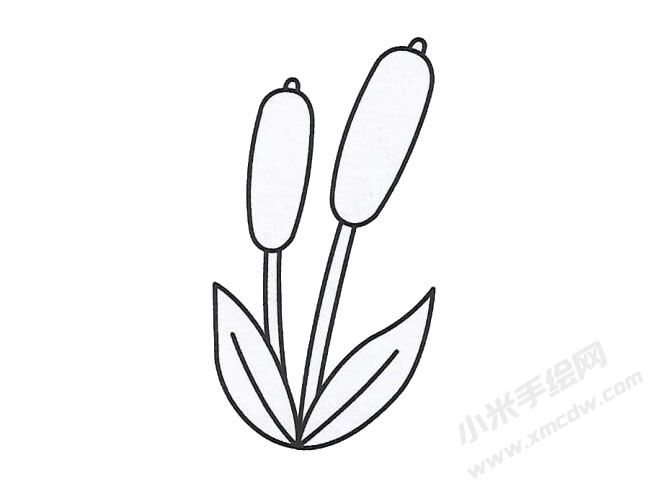 簡筆畫蘆葦畫法步驟圖示03.jpg