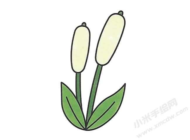 簡筆畫蘆葦畫法步驟圖示04.jpg