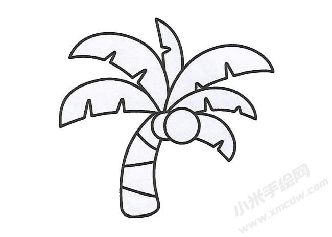 簡筆畫椰子樹畫法步驟圖示03.jpg