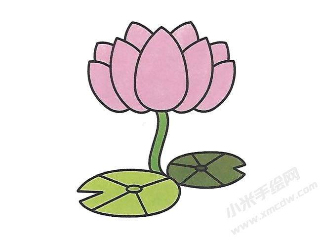 簡筆畫荷花畫法步驟圖示04.jpg