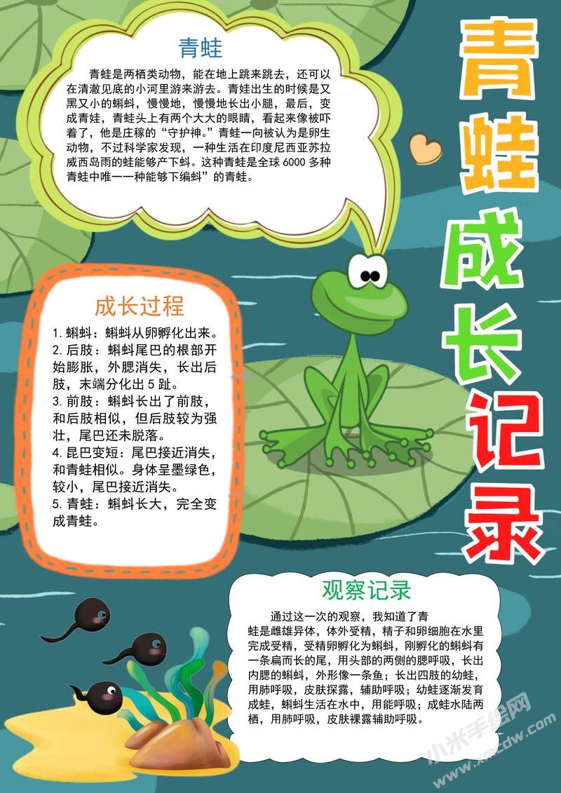 青蛙成長記錄手抄報(bào)模板有字版.jpg