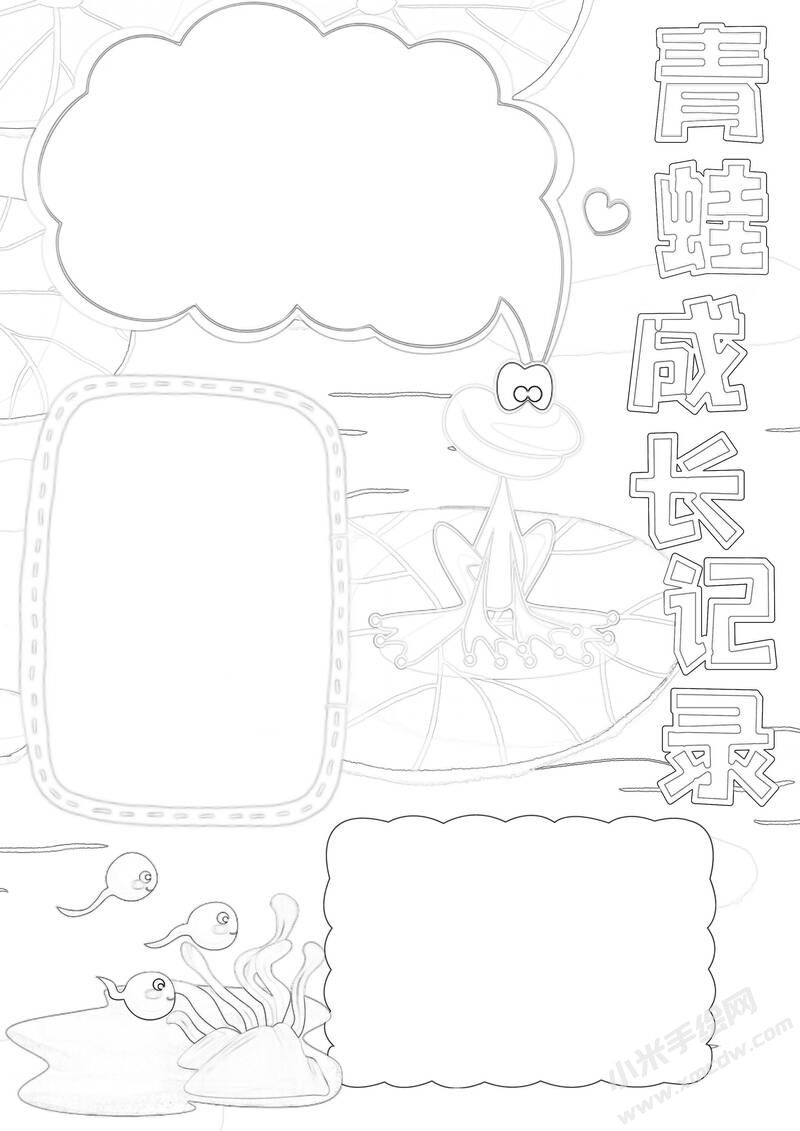 青蛙成長記錄手抄報(bào)黑白線稿.jpg