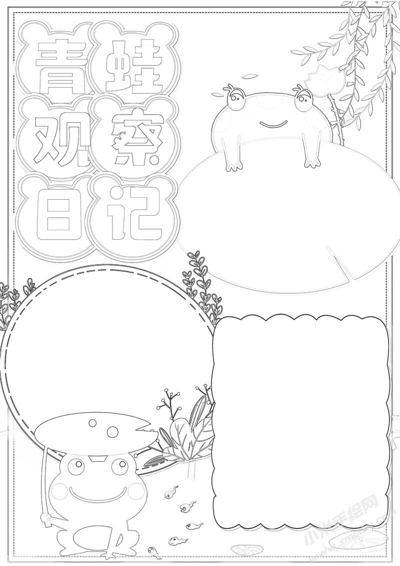 青蛙觀察日記手抄報(bào)黑白線稿.jpg