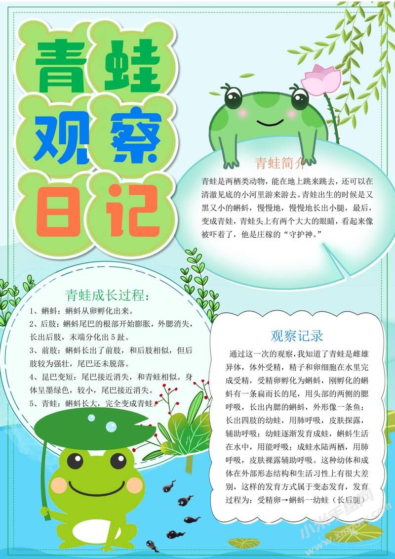 青蛙觀察日記手抄報(bào)模板有字版.jpg