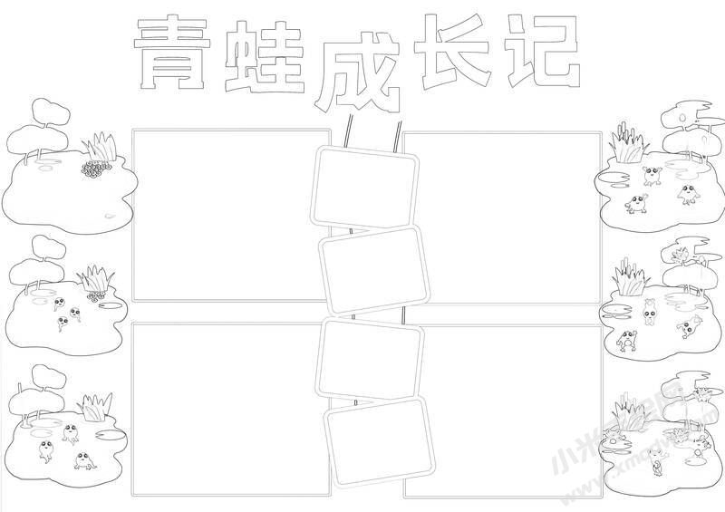 青蛙成長(zhǎng)記手抄報(bào)黑白線稿.jpg