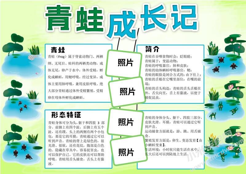 青蛙成長(zhǎng)記手抄報(bào)模板有字版.jpg
