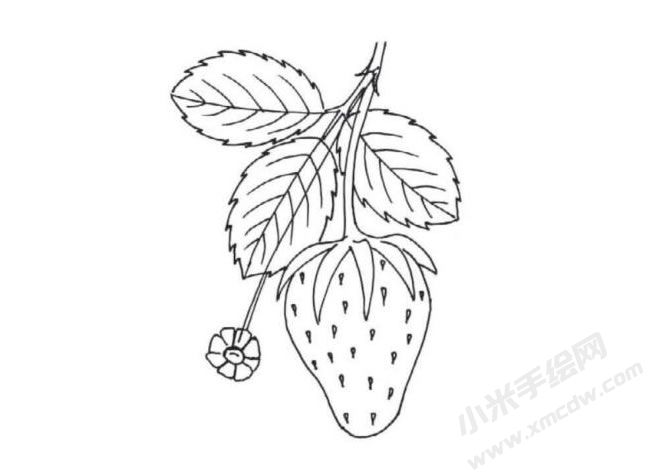 簡(jiǎn)筆畫草莓畫法步驟圖示06.jpg