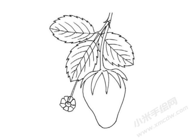 簡(jiǎn)筆畫草莓畫法步驟圖示05.jpg