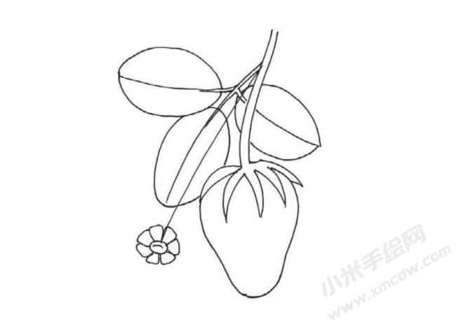 簡(jiǎn)筆畫草莓畫法步驟圖示04.jpg