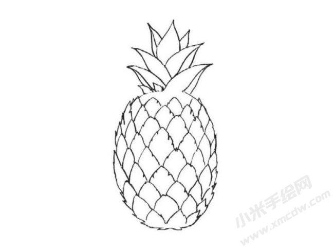 菠蘿簡(jiǎn)筆畫(huà)法步驟圖示04.jpg