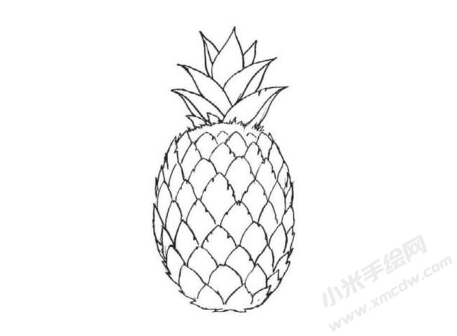 菠蘿簡(jiǎn)筆畫(huà)法步驟圖示05.jpg