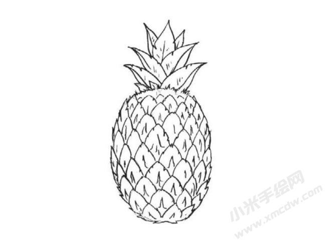 菠蘿簡(jiǎn)筆畫(huà)法步驟圖示06.jpg
