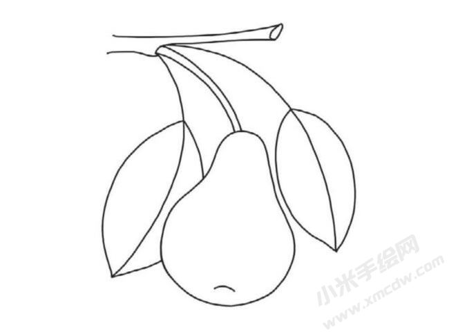 簡筆畫梨的分步繪制圖示05.jpg