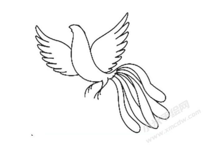 鳳凰簡(jiǎn)筆畫分步繪制圖示04.jpg