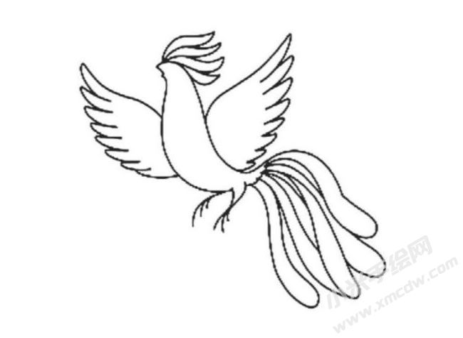 鳳凰簡(jiǎn)筆畫分步繪制圖示05.jpg