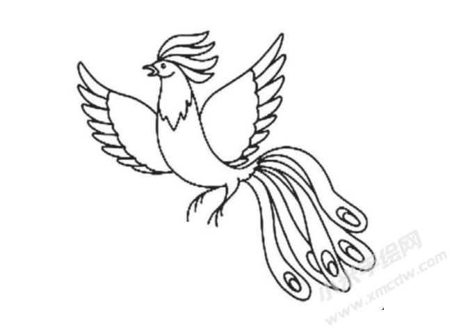 鳳凰簡(jiǎn)筆畫分步繪制圖示06.jpg