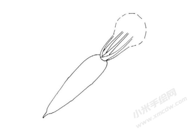 帶莖葉的胡蘿卜簡(jiǎn)筆畫(huà)分步繪制圖示03.jpg