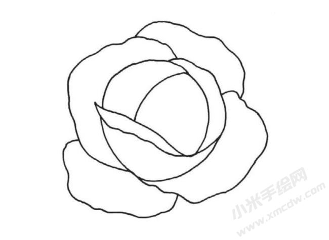 簡筆畫包菜分步繪制圖示03.jpg