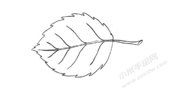 簡(jiǎn)筆畫樹葉分步畫法圖示05.jpg