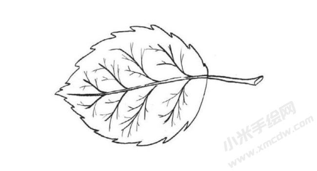簡(jiǎn)筆畫樹葉分步畫法圖示06.jpg