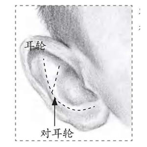 小男孩素描細節(jié)：耳輪.jpg