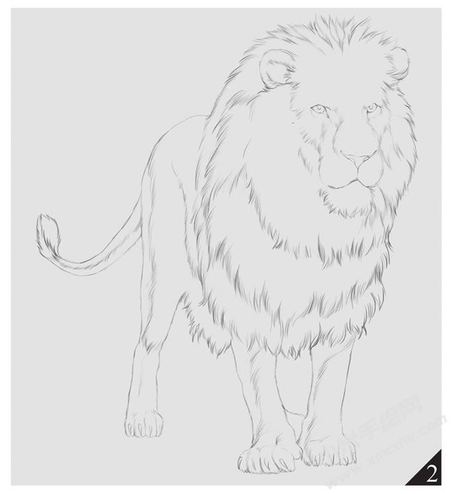 雄獅素描畫法步驟圖示02.jpg