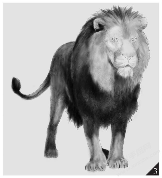 雄獅素描畫法步驟圖示03.jpg